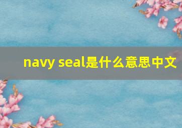 navy seal是什么意思中文